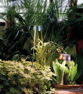 SISTER LIGHT WITH PEG